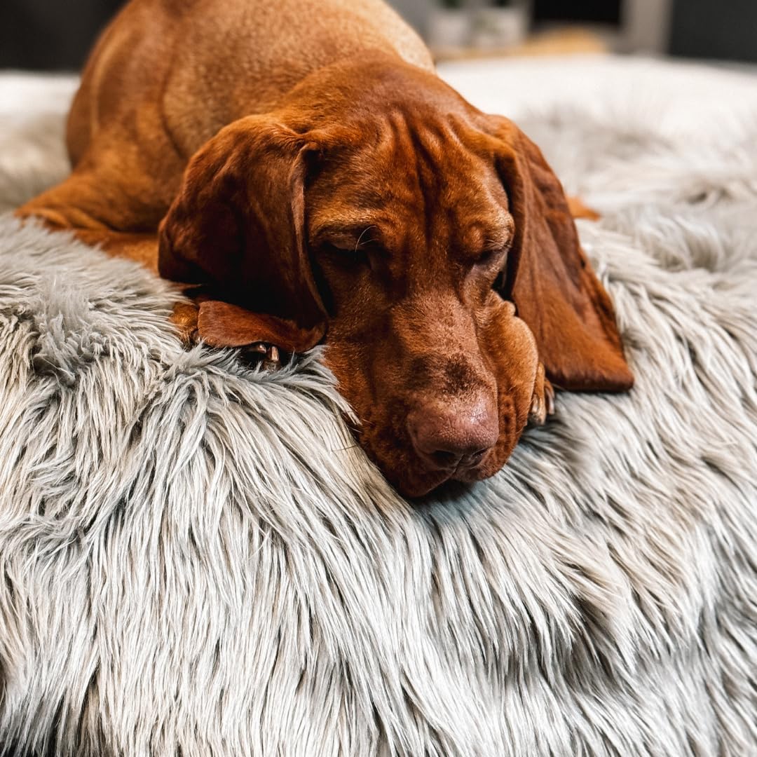 iHappyDog Waterproof Dog Blanket for Small, Medium & Large Dogs – Faux Fur Pet Throw for Couch, Sofa, Bed & Car – Soft, Washable, Stain-Resistant, Durable Cover – Grey 40" x 30"