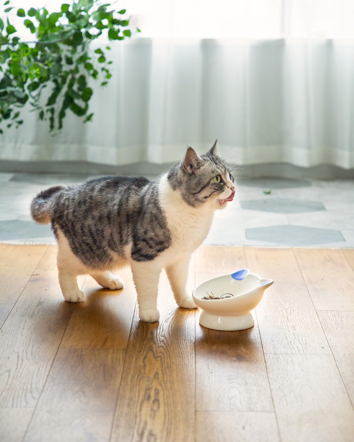 2Pcs Raised Cat Food Bowl Ceramic 15° Tilted Food Bowls Protect Cat's Spine Anti Vomiting Backflow Prevention Cat Bowls for Adult Kitten, and Small Dogs, Blue