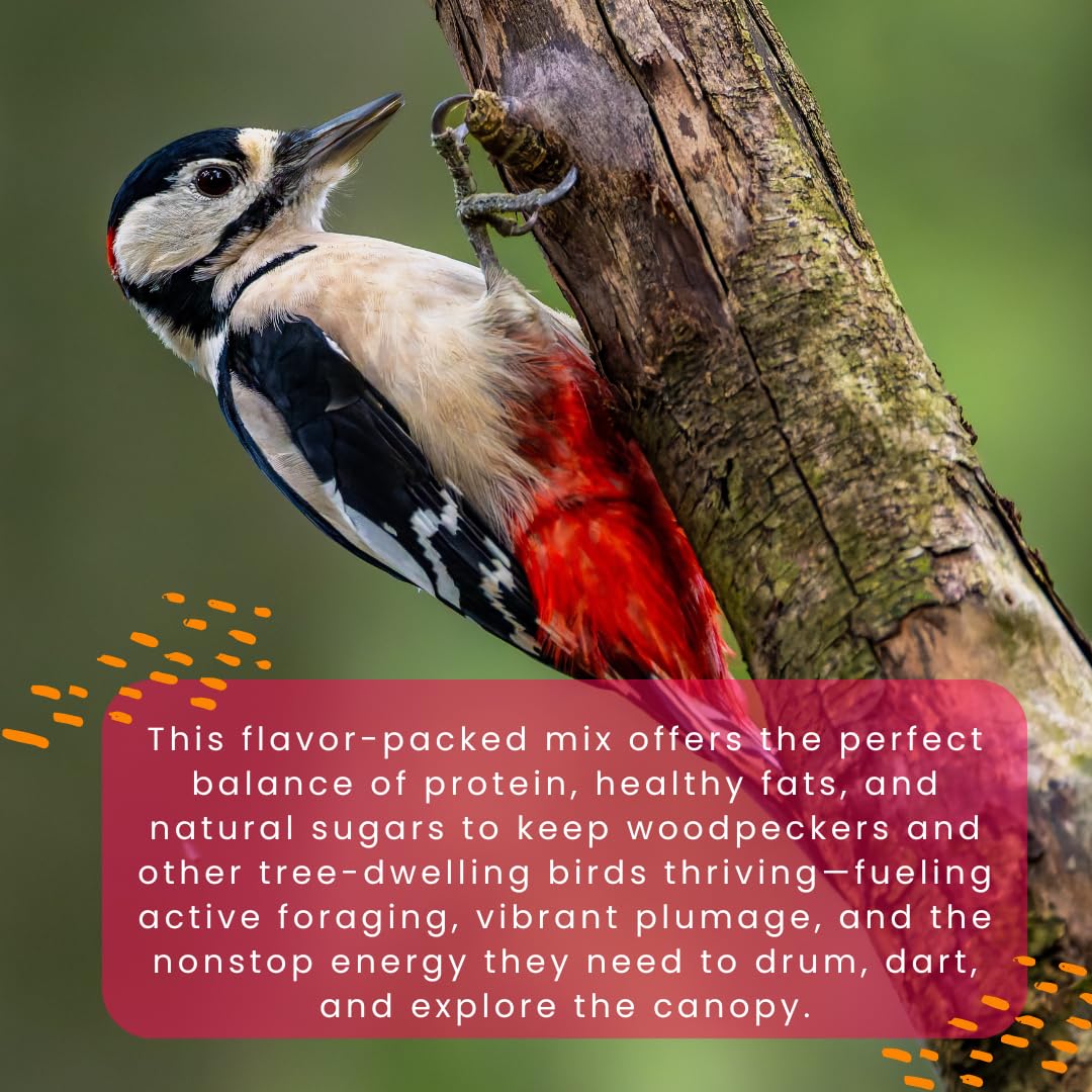 Chirp & Maple, Woodpecker’s Wonder, Suet for Wild Birds, Wild Bird Food for Woodpeckers (18-Pack), 5.4KG