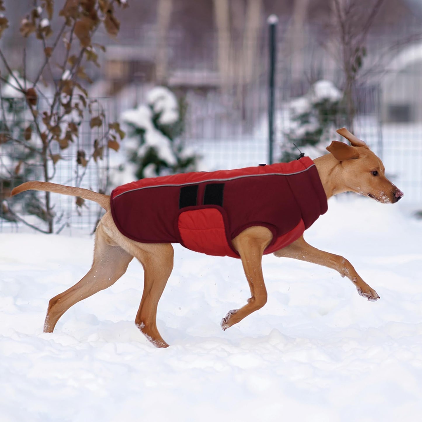 Kuoser Red Dog Coat, Winter Dog Jacket, Medium Size, Polyester Blend, Reflective Strips, Adjustable, Machine Washable