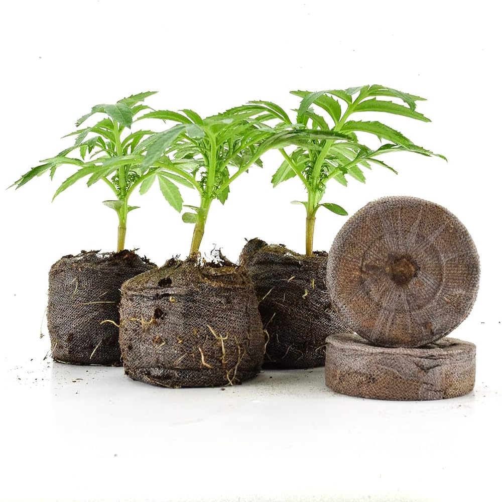 Jiffy-7 The Original 100% Peat Pellets, Propagating Seeds and Cuttings Or Tissue Culture for Stronger Roots, Product of Canada. (200, 30mm-Root Gel Not Included)