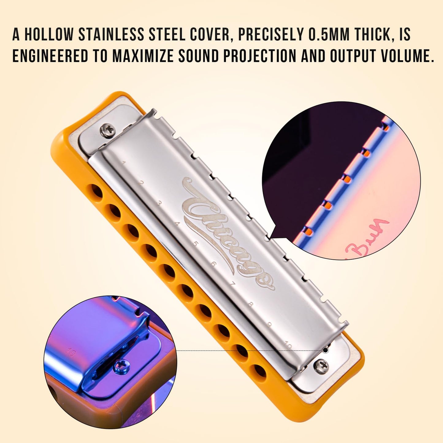 Harmonica JDR Blues key of Bb 10 Holes 20 Tones Harps Armonica for Adults Professional Beginners Mini Mouth Organ with Case Chicago (Bb)