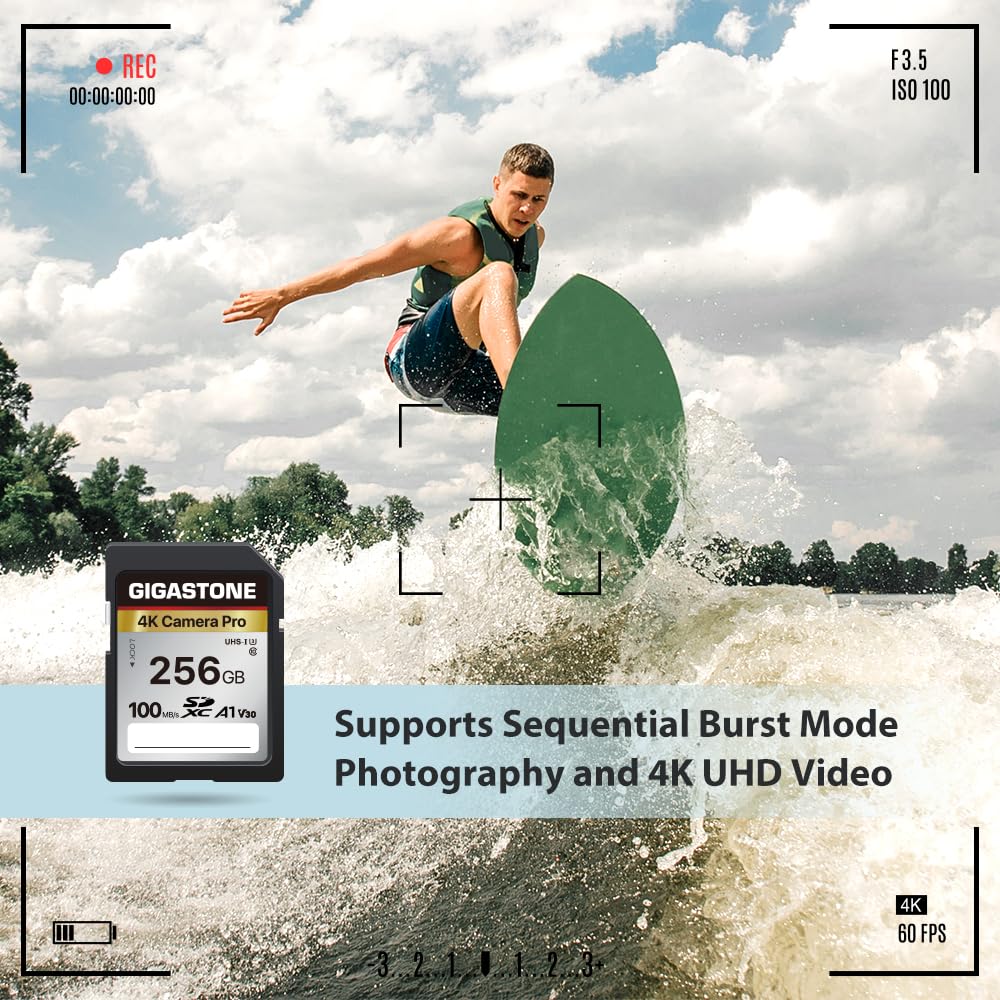[5-Yrs Free Data Recovery] GIGASTONE 256GB SD Card, 4K Camera Pro, A1 V30 SDXC Memory Card 4K UHD Video Compatible with Canon Digital Camera, with 1 Mini Case