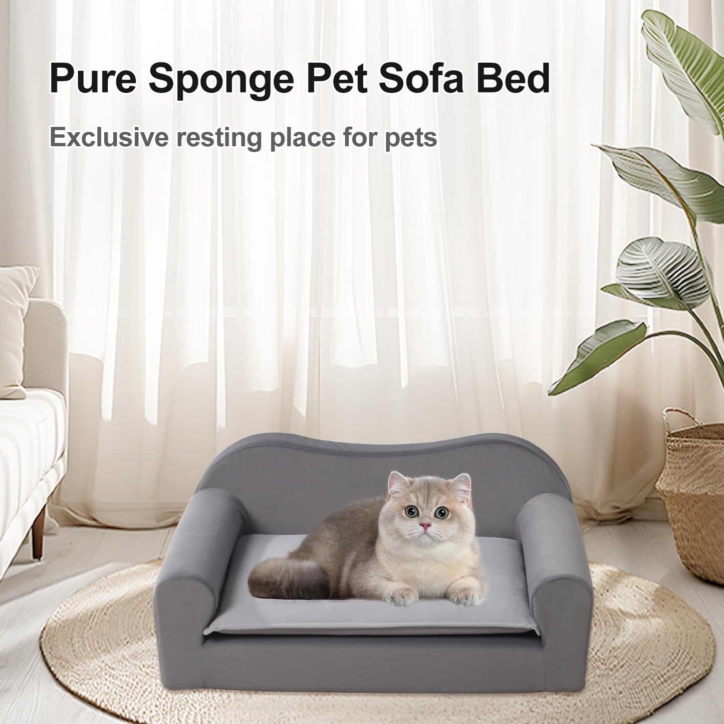 Cat Couch Bed for Indoor,Comfort Small Dog Sofa,Pet Couch for Puppy and Kitten,with Removable Washable Cover and Non-Slip Bottom (Light Grey)