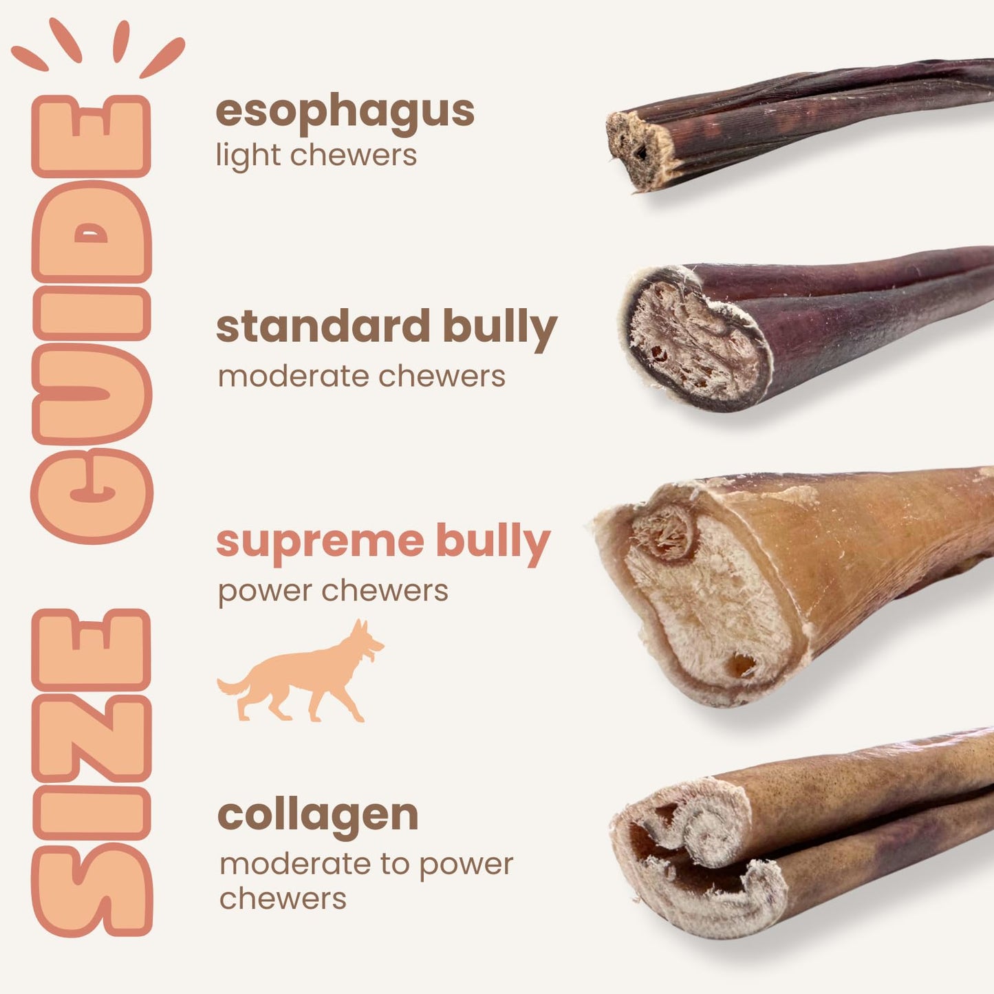 Purely Paws Bully Sticks Supreme for Large Dogs – Extra Thick, Long-Lasting Dog Chews for Aggressive Chewers – 100% Beef, Rawhide-Free & Low Odor – Canadian Company (12", 10 Count)