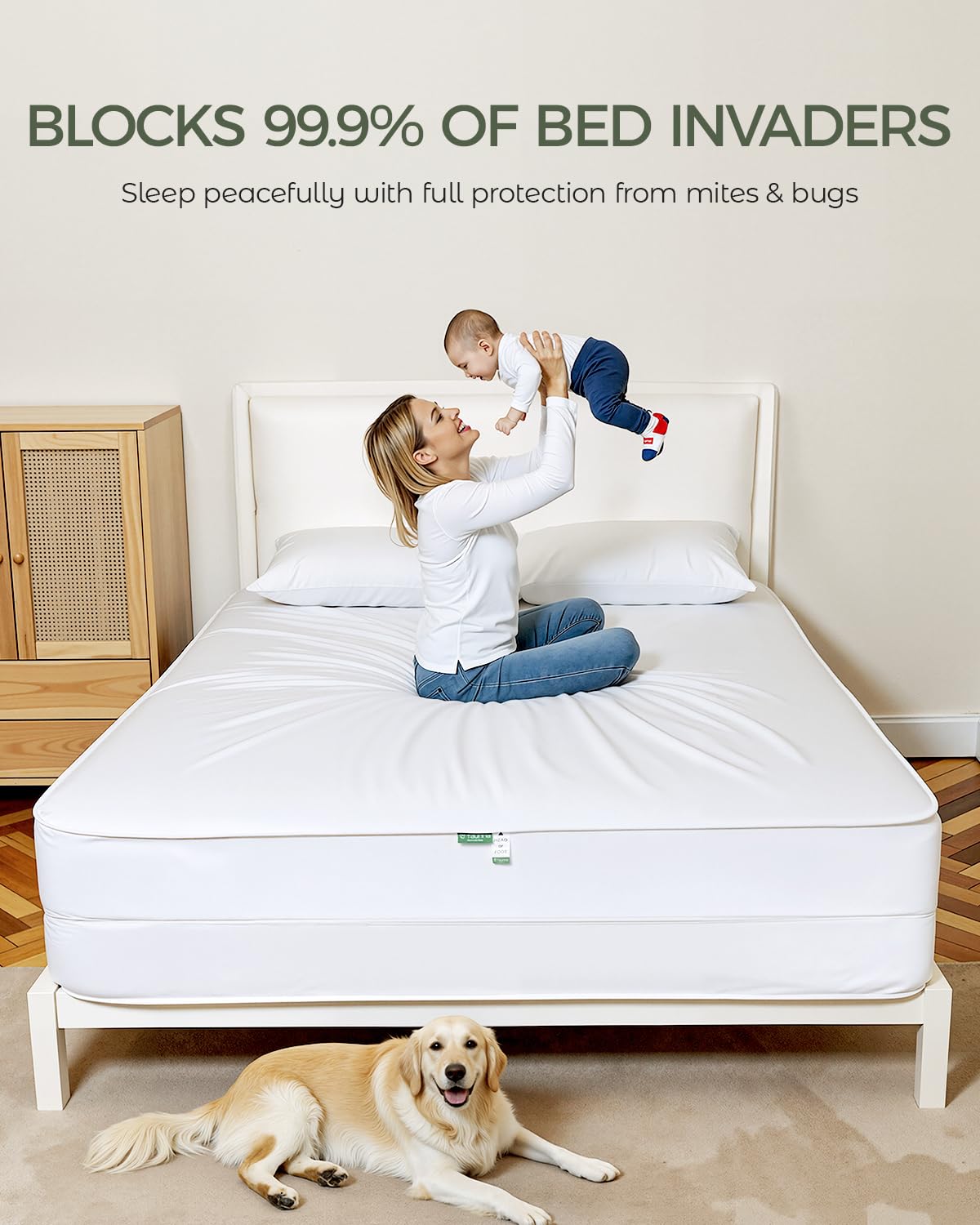 FAUNNA Zippered Mattress Encasement, 100% Cotton Bed Bug and Dust Mite Proof Protector, Six-Sided Noiseless Cover, White (Full 16" Deep)