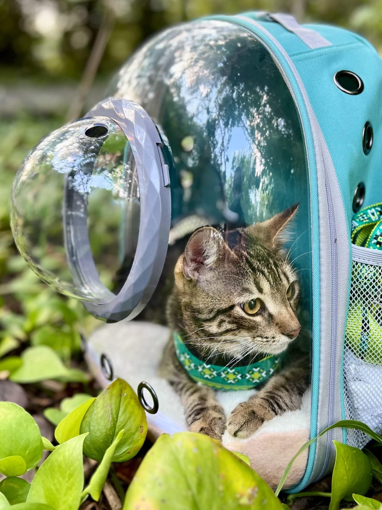 Space Capsule Astronaut Pet Backpack Carrier for Cat and Small Dog, Clear Bubble Dome Window with Soft Pillow, Airline Approved (Pink)