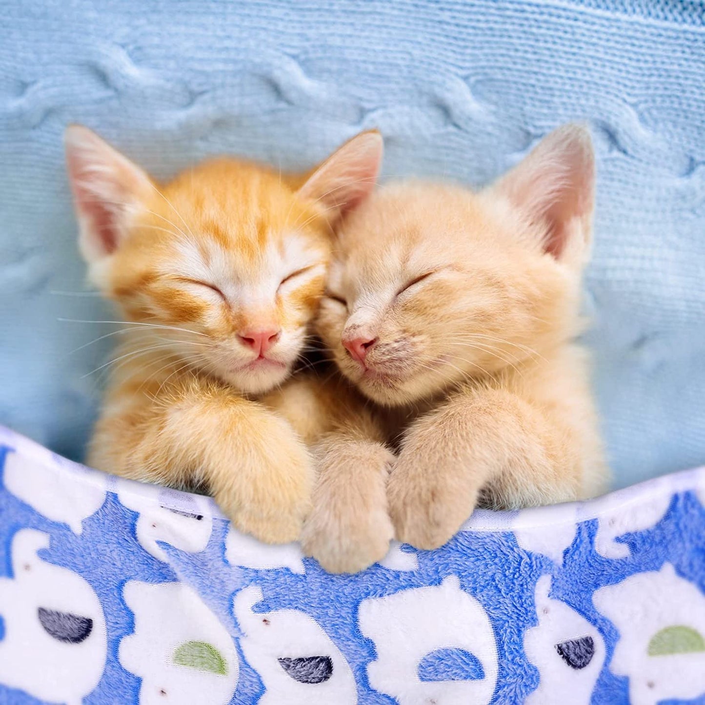 Byolec 18 Pieces Dog Blanket Warm Pet Blankets Puppy Supplies Cute Paw Bone Star Elephant Dot Heart Print Design Bed for Cat Kitten Doggy and Animals, 15.75 x 23.6 Inch