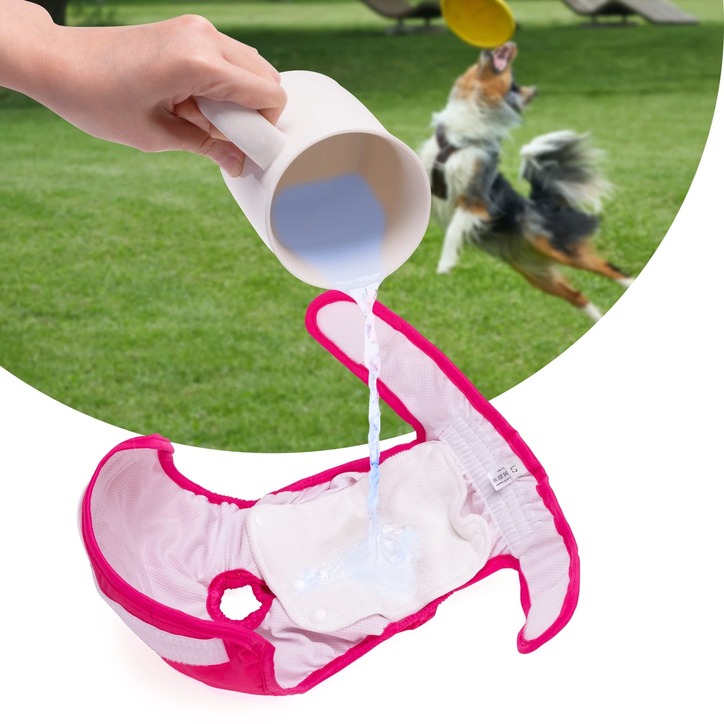 Luxja Reusable Female Dog Diapers with Detachable Diaper Pads (Pack of 4), Washable Dog Wraps Hygiene Nappies for Female Dog,(Gray + Green + Purple + Rose Red), L2