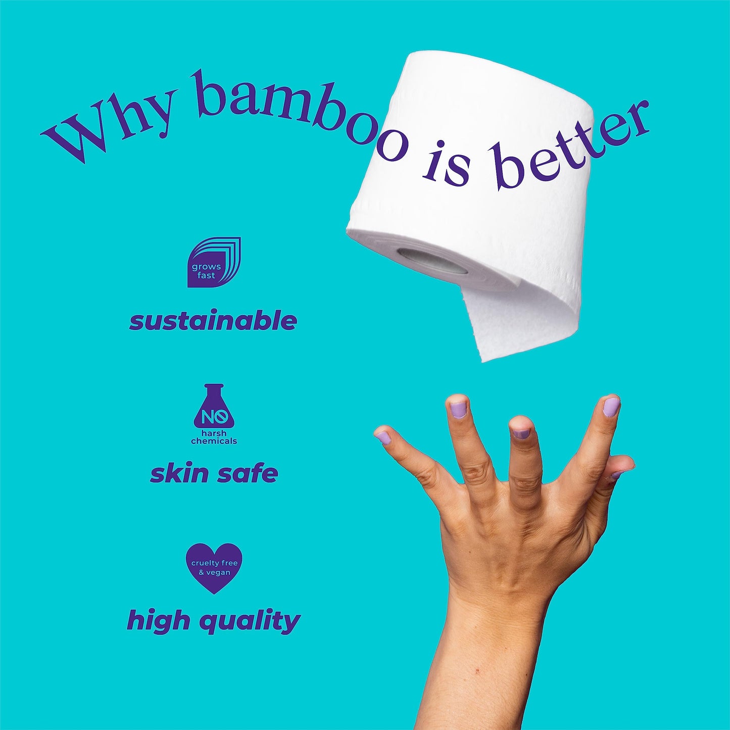 Bim Bam Boo Hypoallergenic Bamboo Embossed Formula Plastic Free 2ply Toiler Paper, 24 Rolls