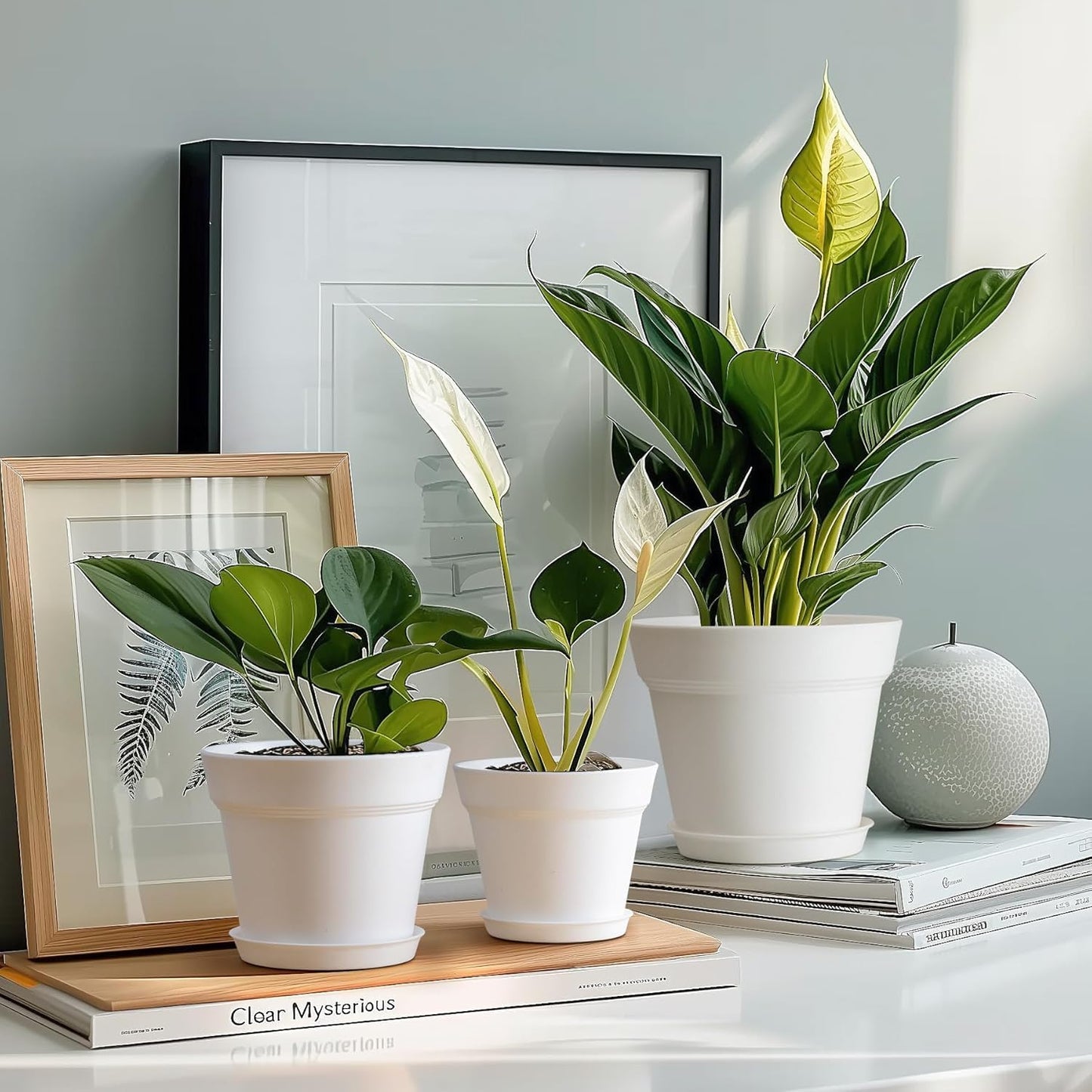 T4U 6 Inch Flower Pots 10-Pack - Small Plastic Planter with Drainage Hole and Saucer, Decorative Nursery Plant Pot Bulk for African Violet, Snake Plant, Aloe and All House Plants Indoor (White)