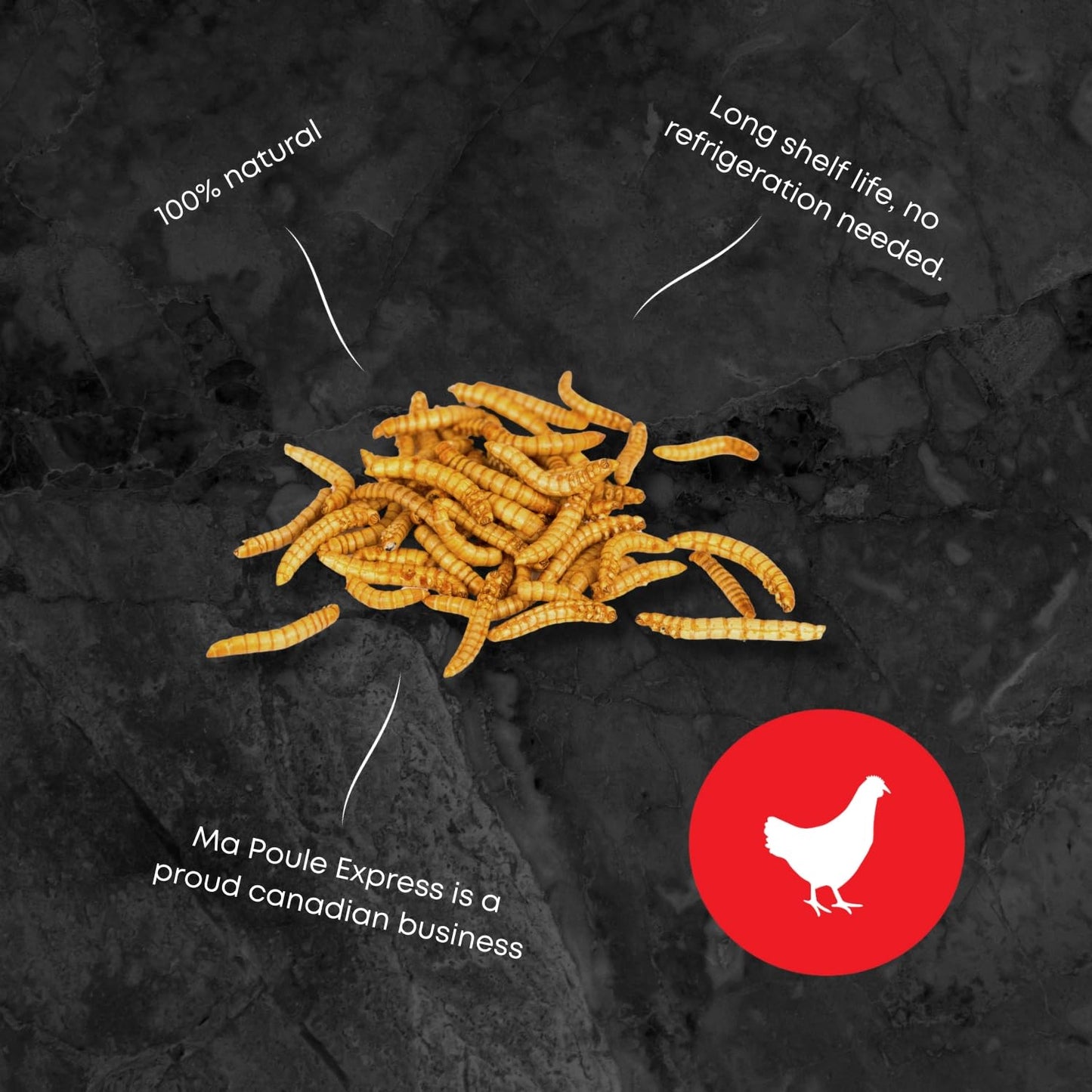 3 Lbs / 1,36Kg Ma Poule Express Dried Mealworms for Wild Birds etc. Approx. 48,000 Mealworms