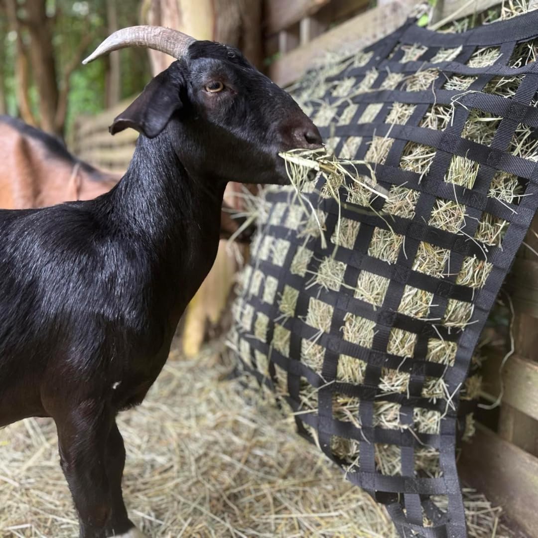 Silverline Deluxe Slow Feed Hay Bag - Durable Nylon Webbing with Heavy Duty O-Rings | Ideal for Horses, Goats, Livestock. Facilitates Natural Grazing and Promotes Healthy Digestion! (Large)
