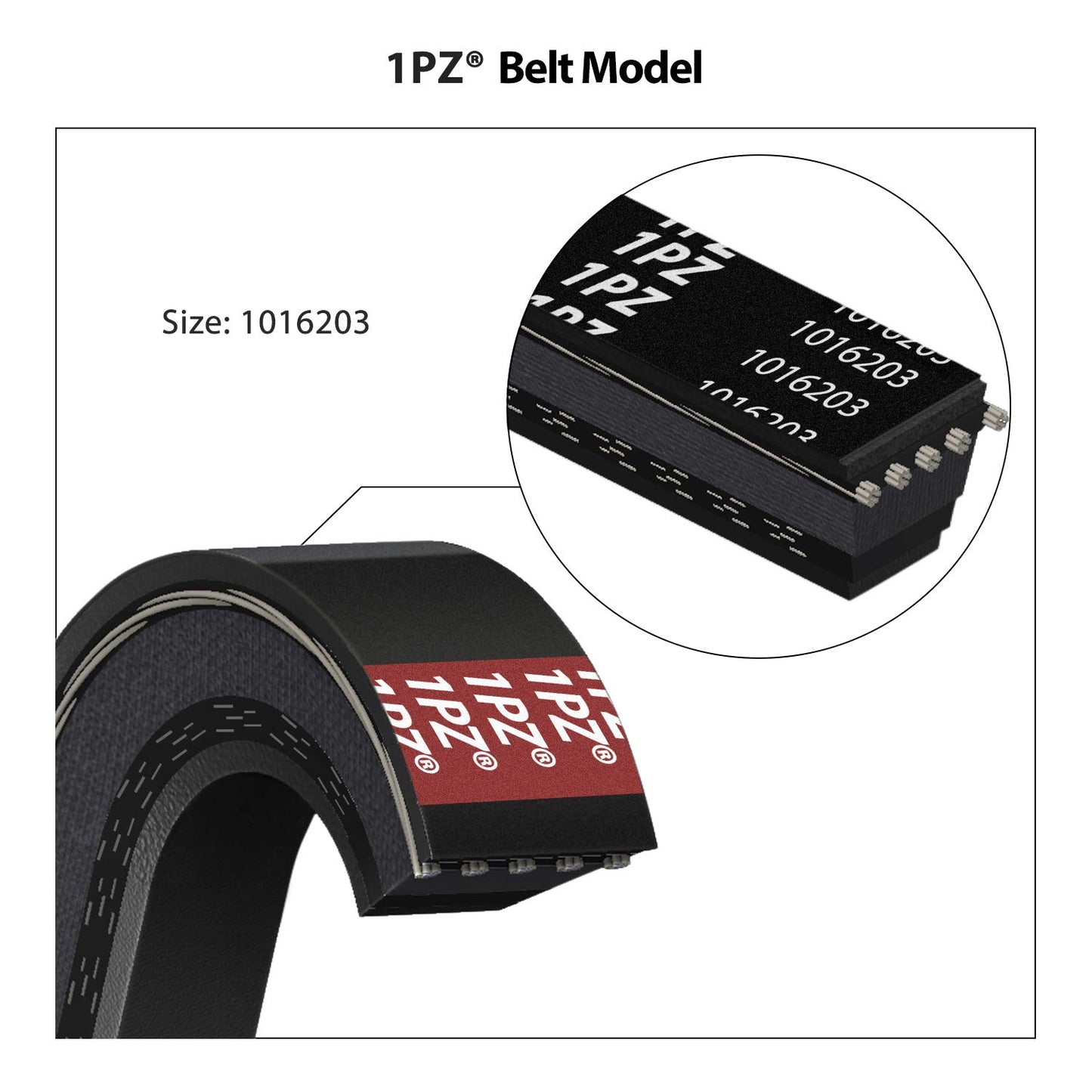 1PZ V1P-DS1 Clutch Starter Generator Belt & Drive Belt kit Replacement for Club Car DS 1997-Up & Precedent 2004-Up Golf Cart 1016203 101916701