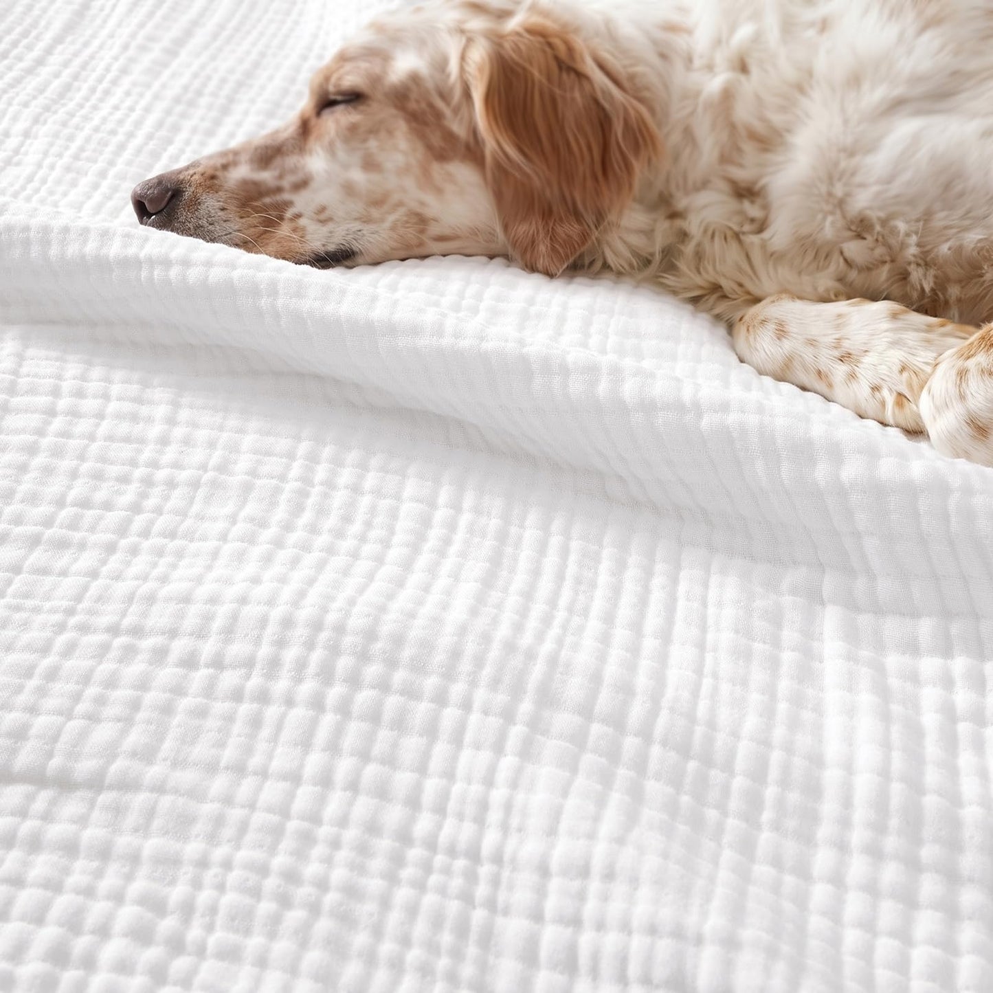 PHF 100% Cotton Muslin Blanket Queen Size 90" x 90", 4-Layer Lightweight and Breathable Blanket for Summer, Luxuriously Soft Gauze Bedding for Home Decor, White