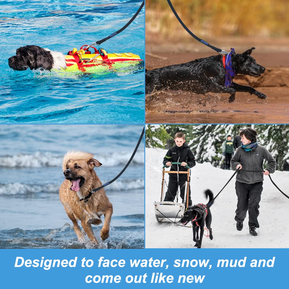 Vivifying Waterproof Long Dog Leash, 32Feet/10M Durable PVC Long Training Lead with Padded Handle Great for Medium Large Dogs Training, Hiking, Swimming, Beach and Yard (Black)