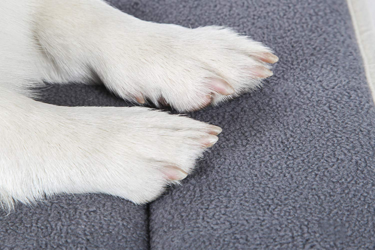 QIAOQI Dog Bed Kennel Pad Crate Mat Washable Orthopedic Antislip Beds Dense Memory Foam Cushion Padding Bolster | Perfect Sleep Bedding Pads for Carrier Cage