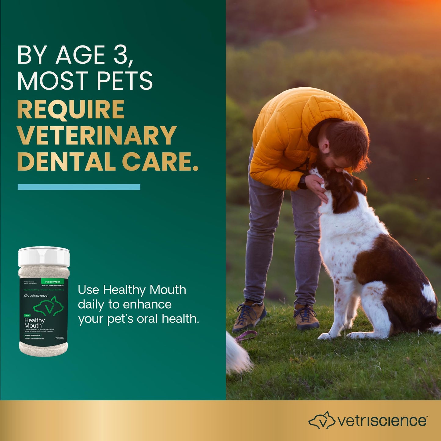 VetriScience Laboratories- Perio Support, Dental Health Powder for Cats and Dogs, 4.2oz