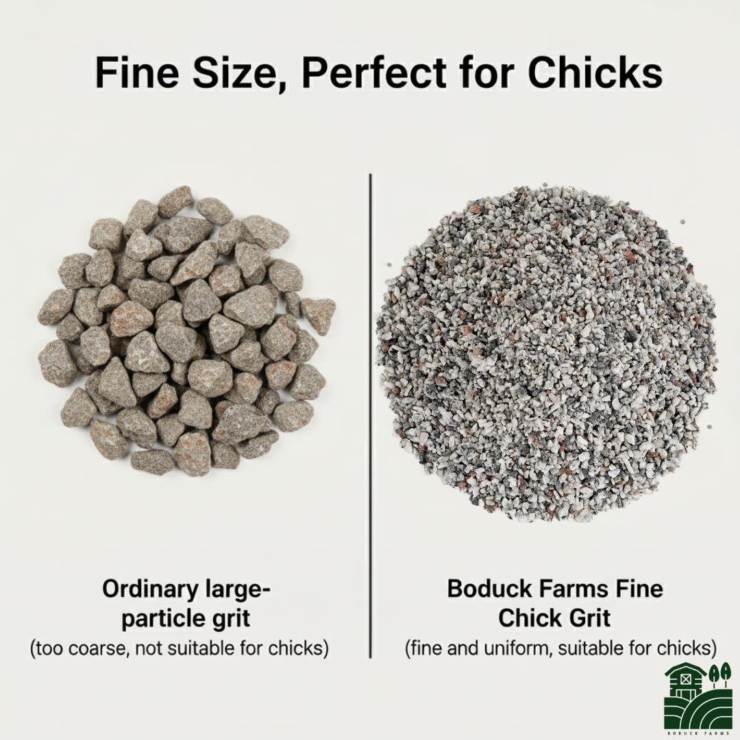 BODUCK FARMS Chick Grit 5LB – 100% Natural Fine Quartzite – Starter Grit for Baby Chicks, Ducklings, and Young Poultry – Essential Digestive Aid for Healthy Growth