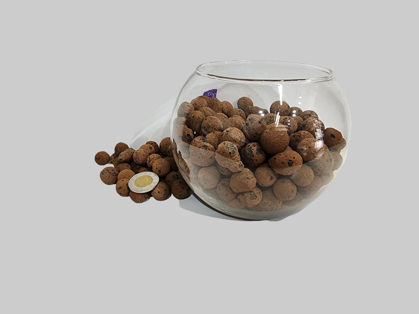 10 LB. -Clay Pebbles for Plants-Premium Leca/Clay Pebbles Hydroponic and Soilless Grow Medium 15-25 mm (10 LB)