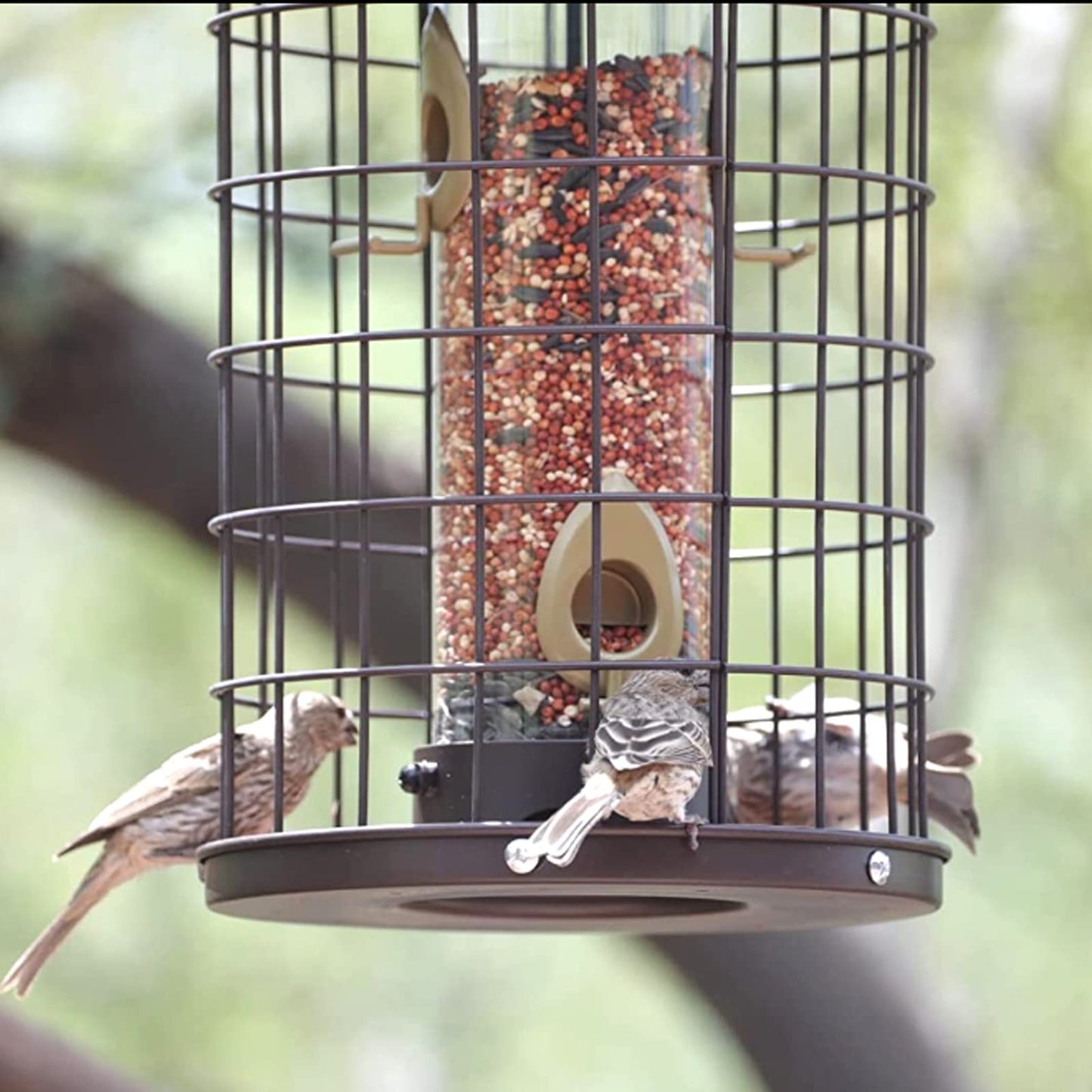 Caged Bird Feeders Metal - 3 Lbs - Squirrel-Proof Wild Bird Tube Feeder Hanging Outside, Detachable Cleaning, 4 Feed Ports(Copper)