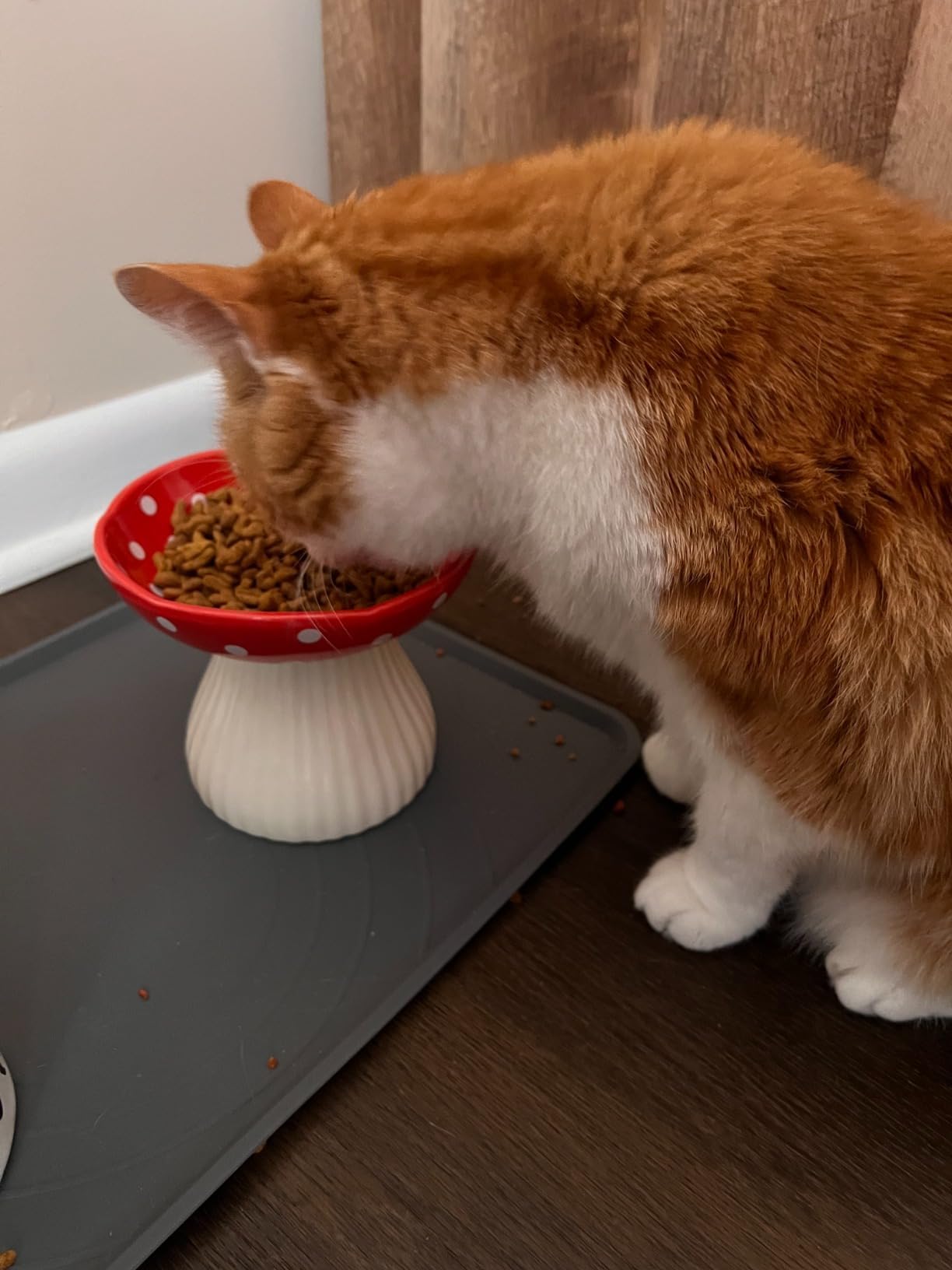 2 Pack Raised Cat Bowl 6 Inch Wide Ceramic Elevated Cat Food Bowl for Food and Water, Whisker Friendly Tilted Cat Dish for Flat Faced Kitten, Cat Feeding Bowl, Shallow Cat Dish (Red&Yellow)