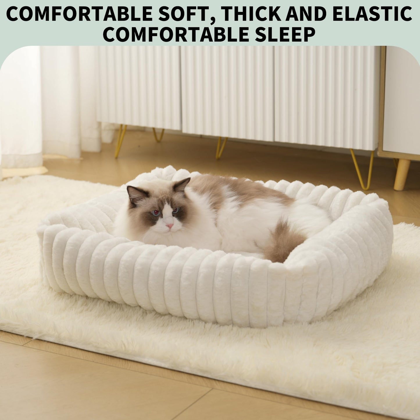 Cozy Dog Bed for Medium Dogs,cat Bed for Indoor Cats,Removable Washable Cover Puppy Beds Cream Plush pet Bed Large Size (25x21x7 inches)