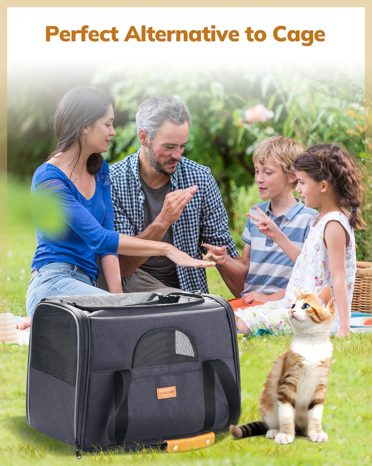 Morpilot Cat Carrier - Soft Sided Cat Carrier Large for Big Medium Cats and Puppy up to 18lbs, Pet Carrier with Safety Zippers, Foldable Bowl, Airline Approved Large Dog Carrier - Dark Gray