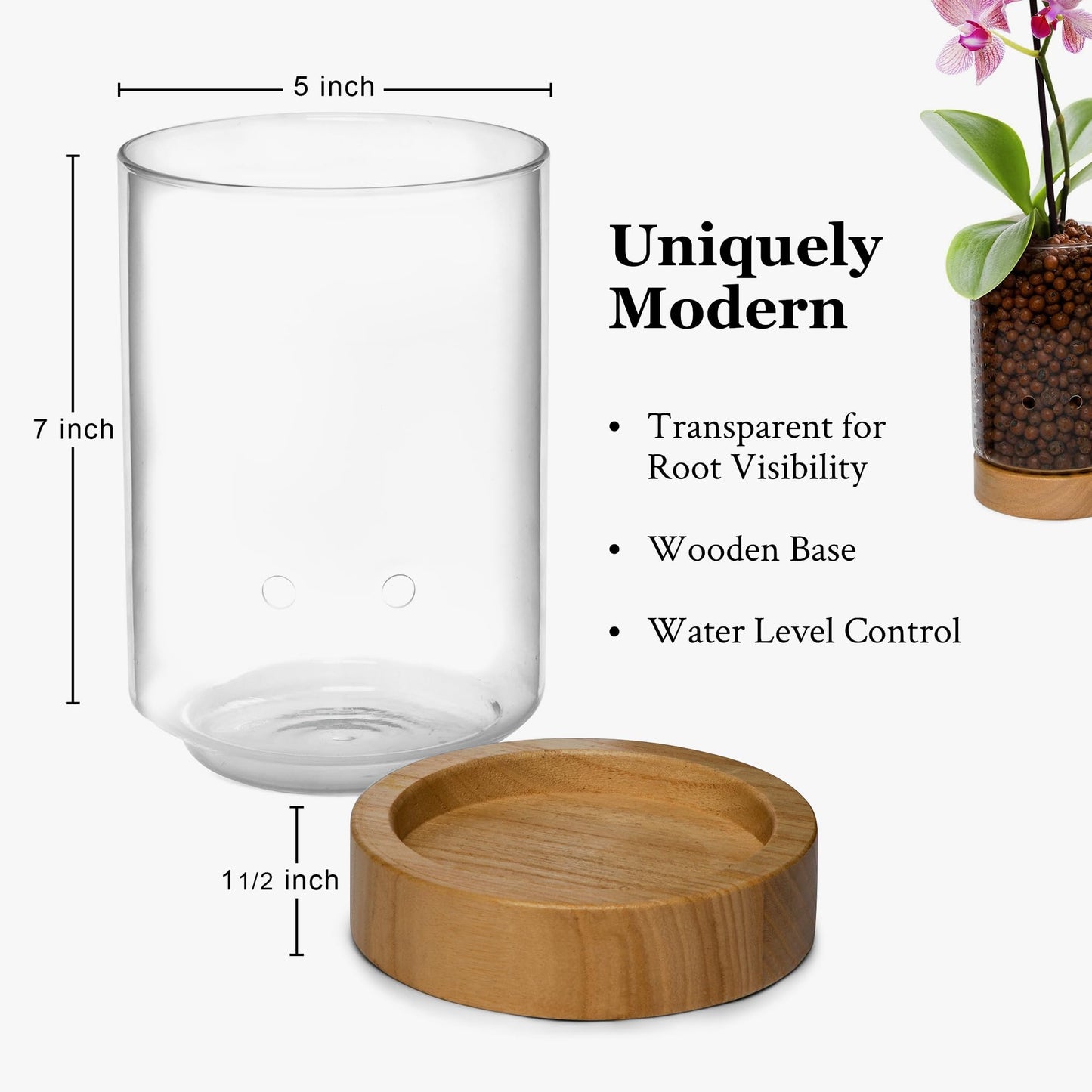 Pot & Pebble - C1 Glass Planter with Wooden Base - Plant Propagation Station with Holes for Water Level Control - Plant Cutting Holder for LECA Clay Pebbles/Similar Media - Semi Hydroponic Planter