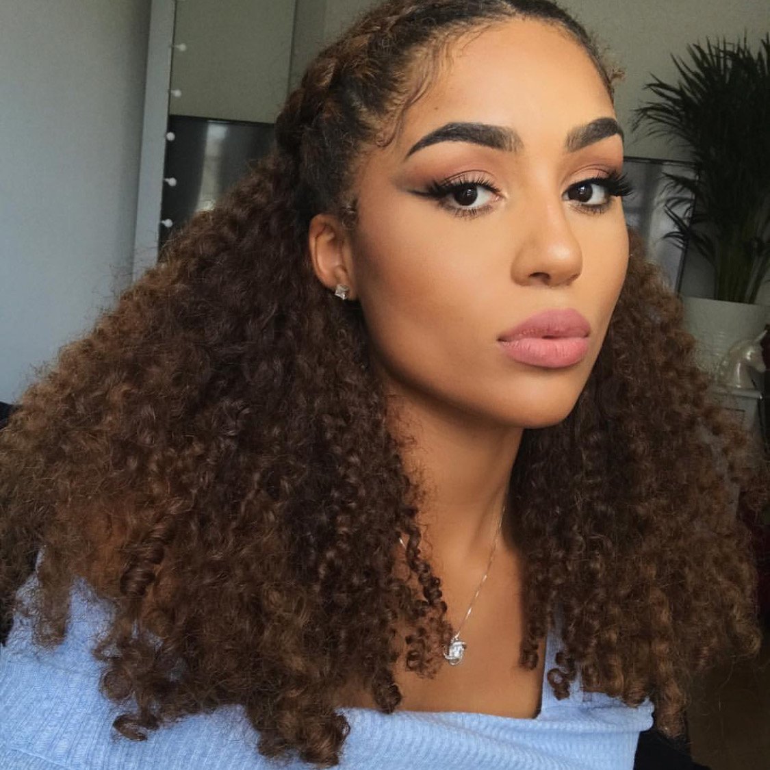 LacerHair Curly Clip in Remy Human Hair Extensions Afro Kinky Curly Clip ins 4B 4C 100% Natural Black Hair Extensions For Black Women with 17 Clips 120G Full Head10 inchT#1B/4 AC