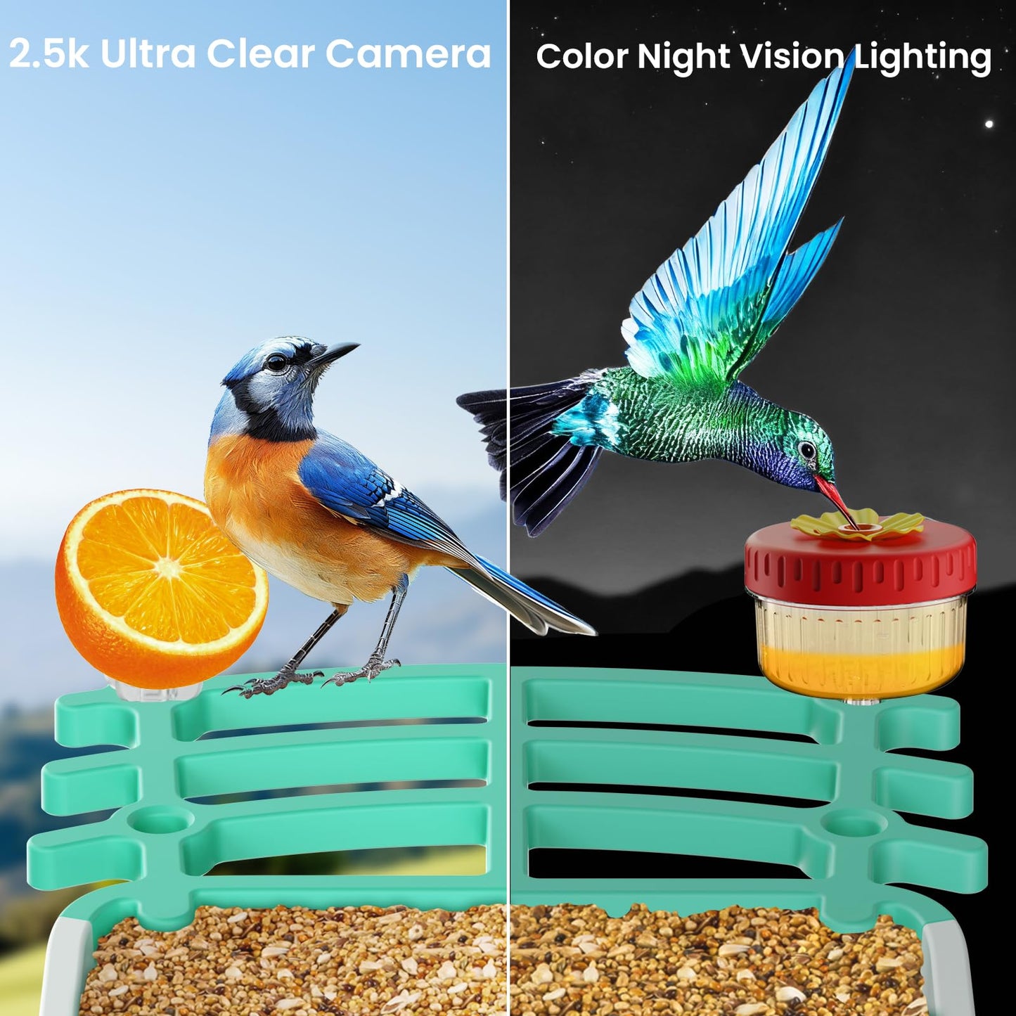 Yezloris Smart Bird Feeder with Camera, 2.5K HD AI Bird Watching Camera, Wireless Outdoor Solar Powered, Identifies 18000+ Species, Motion Detection, Night Vision, Waterproof – Gift for Bird Lovers