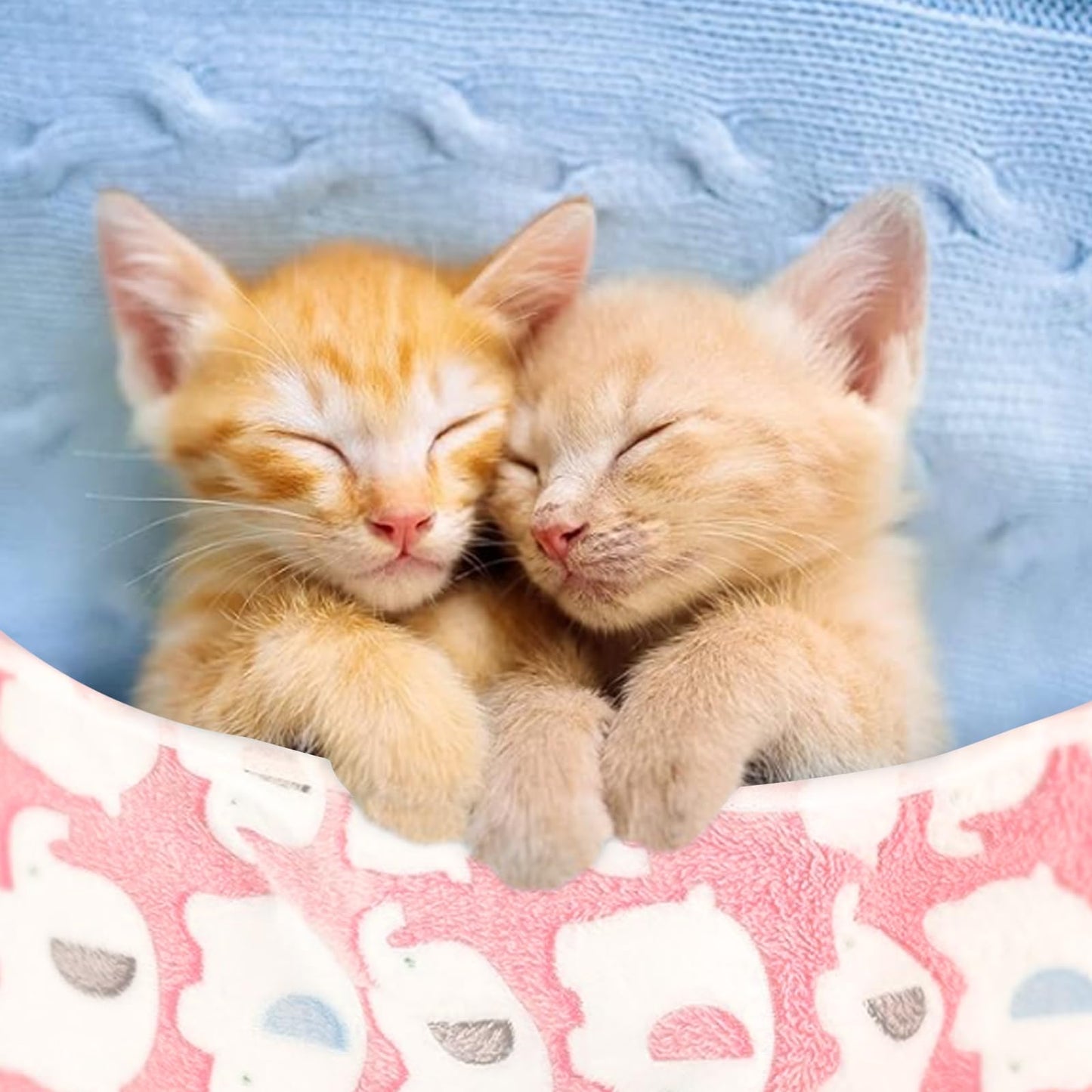 20 Pack Fluffy Pet Blanket, Warm Soft Cat Dog Blankets with Cute Pattern, Washable Flannel Throw for Puppies Small Dogs Cats Kittens (24 x16 inch) (10 Color)
