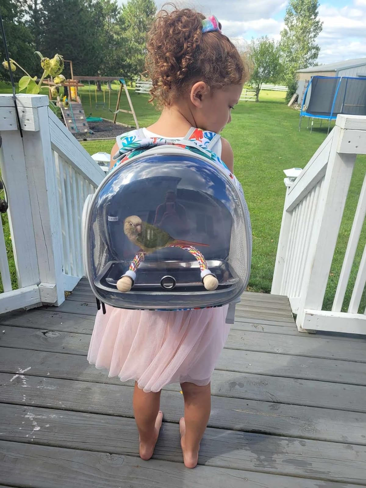 Bird Backpack Carrier, Backpack with Stand Perch and Metal Tray, Travel Carrier Backpack (SP Floral, Bird Backpack)