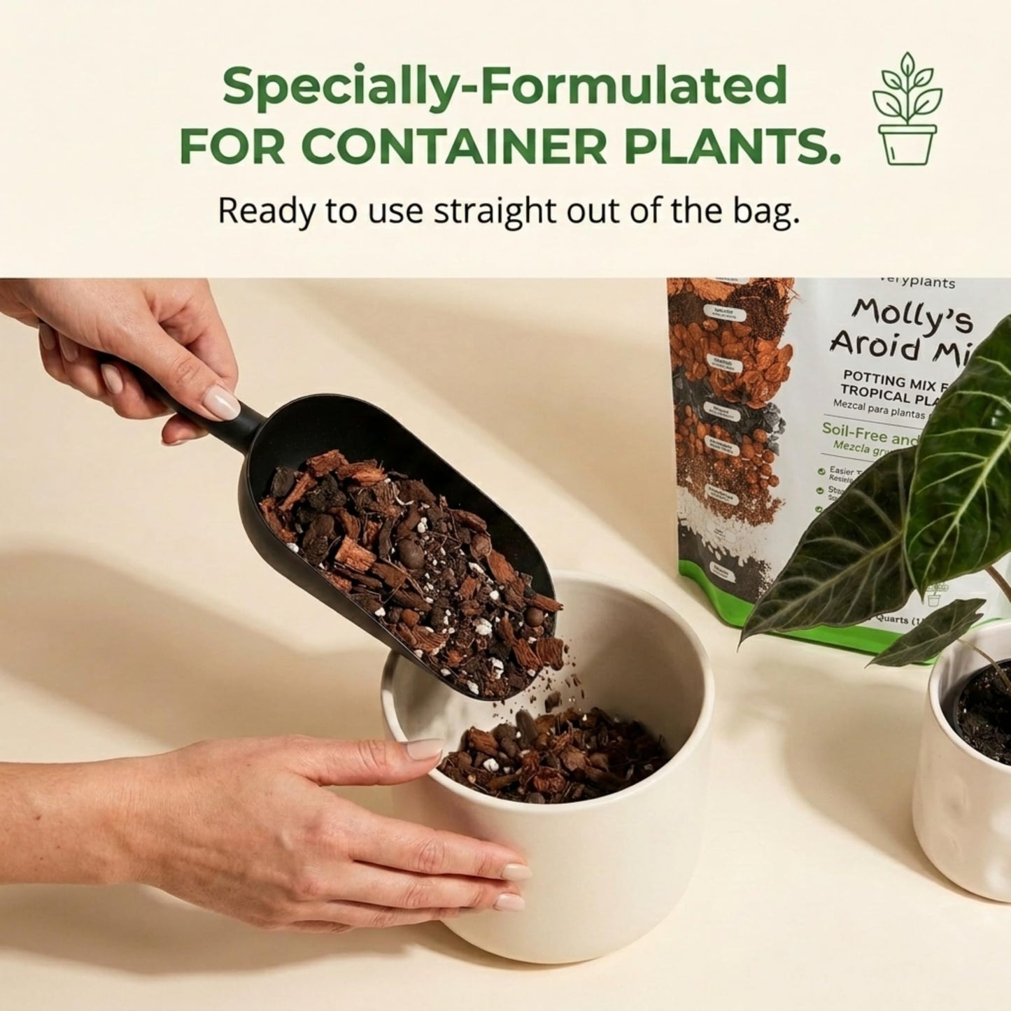 Molly's Aroid Mix - Premium Soilless Potting Mix for Houseplants - Fast Draining Soak Up & Chunky vs. Potting Soil for Indoor Plants - with Bark, Coco Chips, Worm Castings, Mycorrhizae 11 Liters