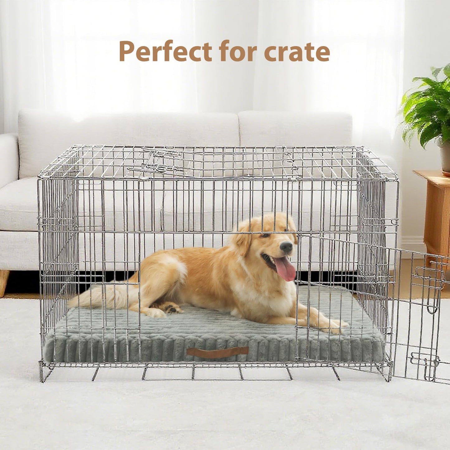 Colvay Dog Bed Medium, Lit Pour Chien with Removable Machine Washable Cover, Orthopedic Dog Bed for Crate with Non-Slip Bottom, Comfy Dog Beds | Lit Chien.