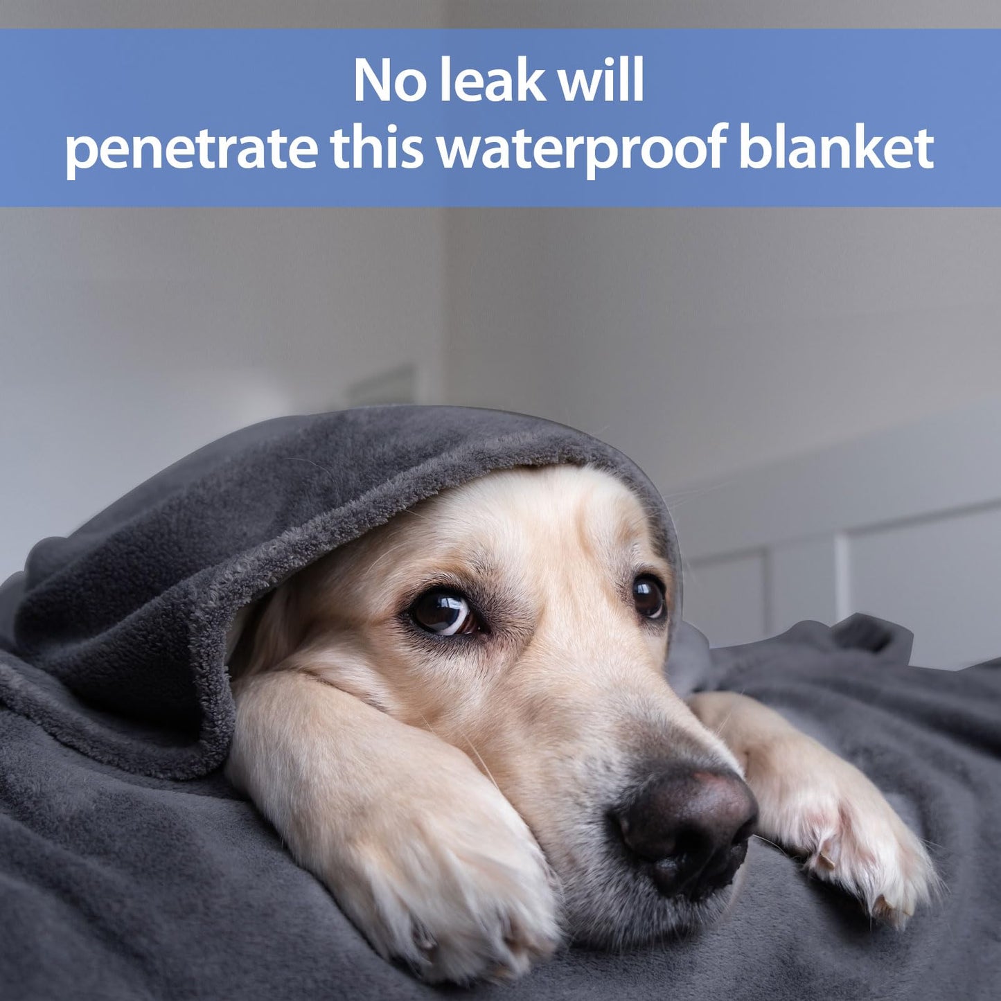 YISURE Waterproof Blanket for Couch Sofa 60x40 inch,Grey/Purple Washable Blankets for Adults Couples or Pets, Reversible Leakproof Protector Bed Cover