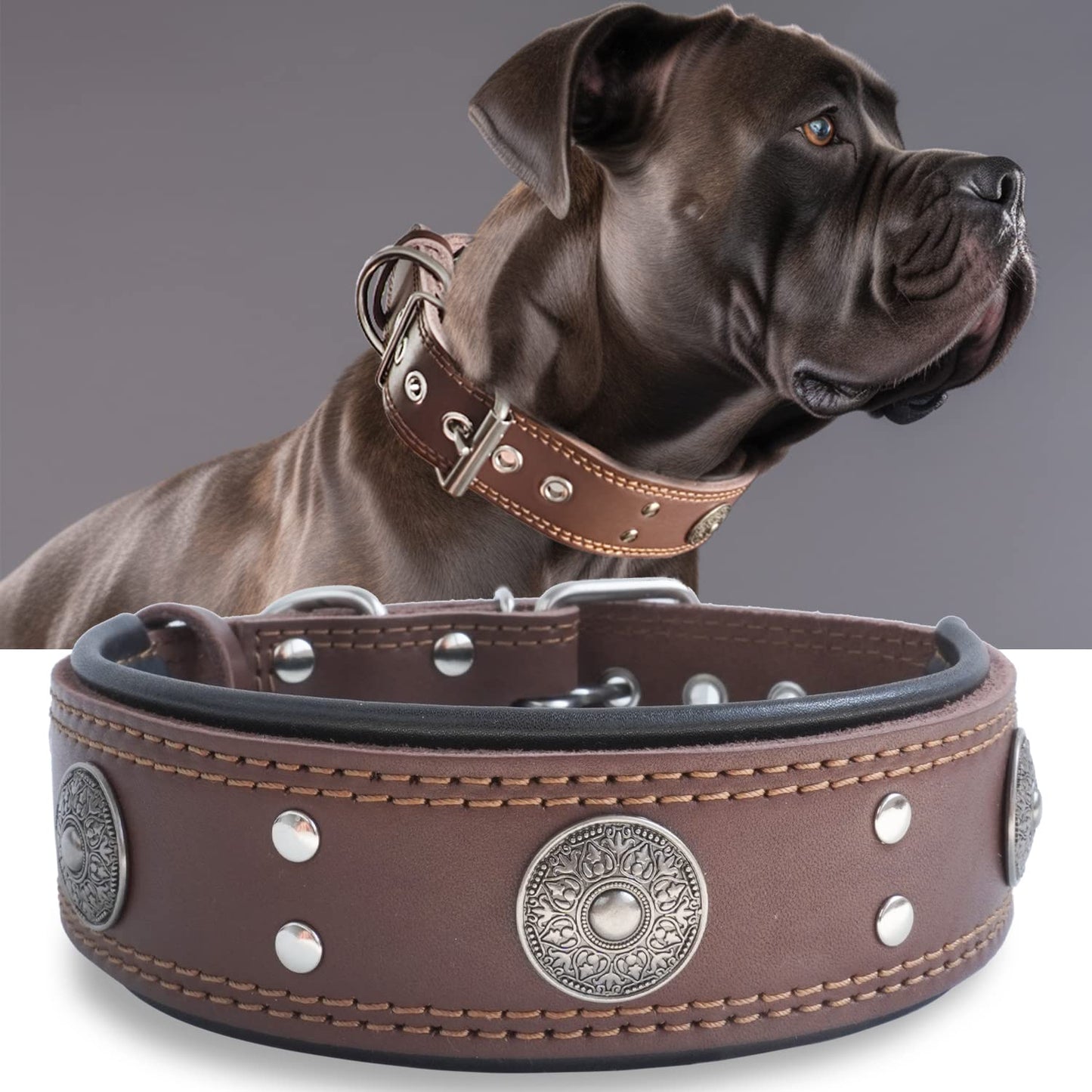 Leather Dog Collar, 2 inches Wide Heavy Duty Genuine Leather Collars, Handmade, Soft, and Luxury, Eye-catching Best Choice for Large and Medium Breed Dogs 21-25 inches