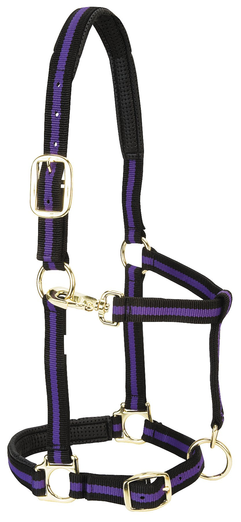 Weaver Leather Padded Adjustable Nylon Horse Halter, Purple, 1" Large Horse