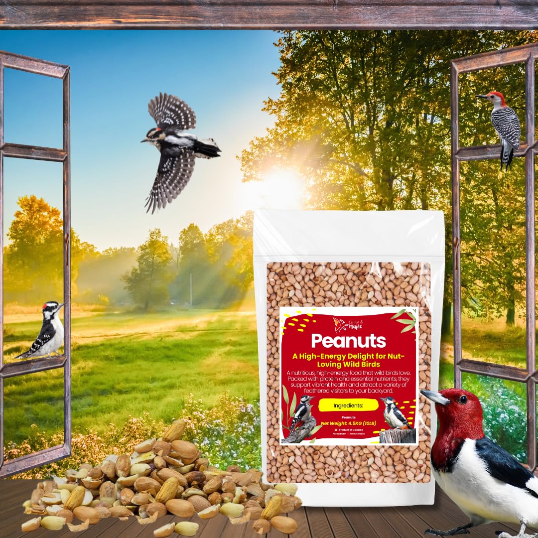 Chirp & Maple, Peanuts for Wild Birds, No Shell, Wild Bird Food, 4.5KG (10LB) Bag