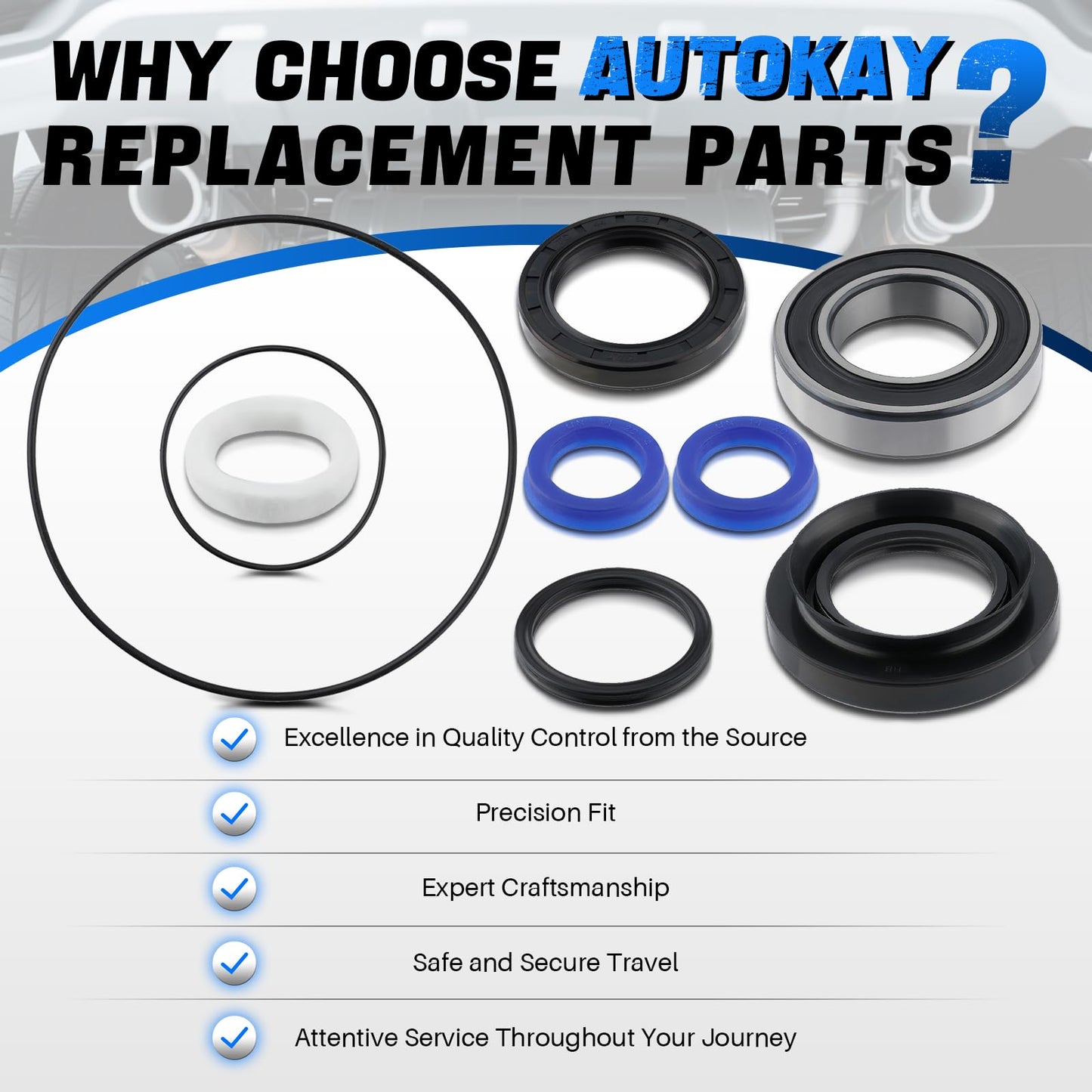 AUTOKAY Rear Brake Drum Bearing Seal Kit Fits for Honda FourTrax 300 TRX 300 300FW 4x4 1988-2000, Replace 91052-HB3-771 91252-HM5-630