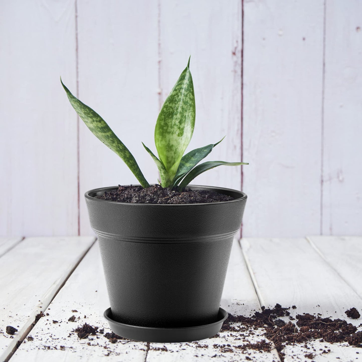 6 inch Plastic Plant Pots with Drainage Holes and Tray, 10 Pack Thickened Indoor Planters Seedlings Nursery Pots for Flowers, African Violet, Succulent and All House Plants, Black