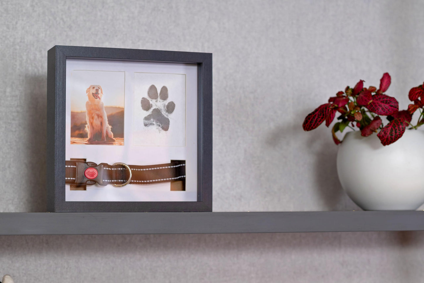 OtterPets Pet Memorial Dog Picture Frame Black, 4 Customizable Displays, 23x23cm, Paw Print Kit for Dogs, Pet Memorial Gift for Dogs, Loss of Dog Sympathy Gift, Pet Paw Print Impression Kit