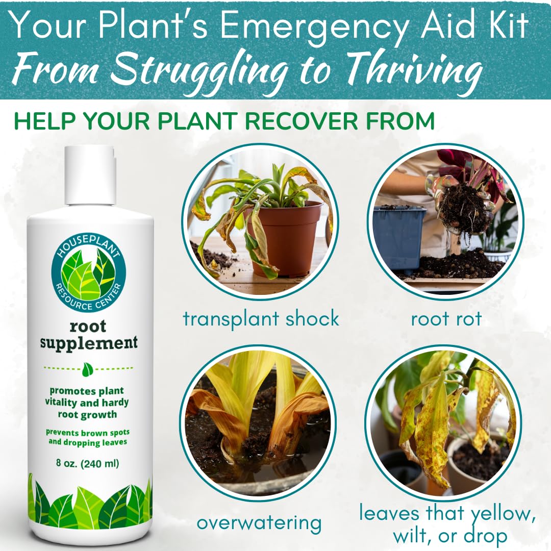 Root Supplement & Liquid Root Stimulator | Promotes Strong Roots & Root Rot Recovery | Encourages New Growth | Ideal for Fiddle Leaf Fig & Indoor Plants | 8 oz
