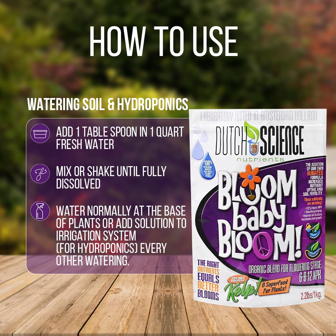 Dutch Science Nutrients Organic Fertilizer – Bloom Baby Bloom Large 1 Kg Size - Booster Fertilizer & Nutrition with 6-8-12 NPK | Organic Bud Booster for Strong Flower Growth | Outdoor & Indoor