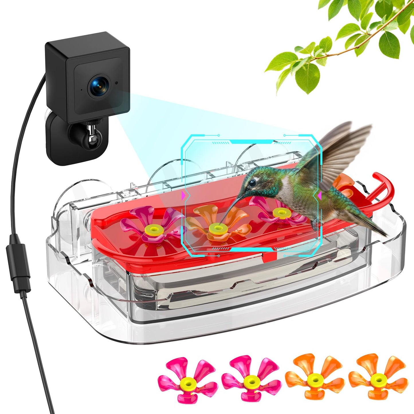 Freeseason 2K Smart Window Hummingbird Feeder Camera with AI Identify, Auto-Capture Fast Moments, IP65 Waterproof & Ant Moat, Strong Suction for Apartment/Cat TV, Best Gift for Bird Lovers