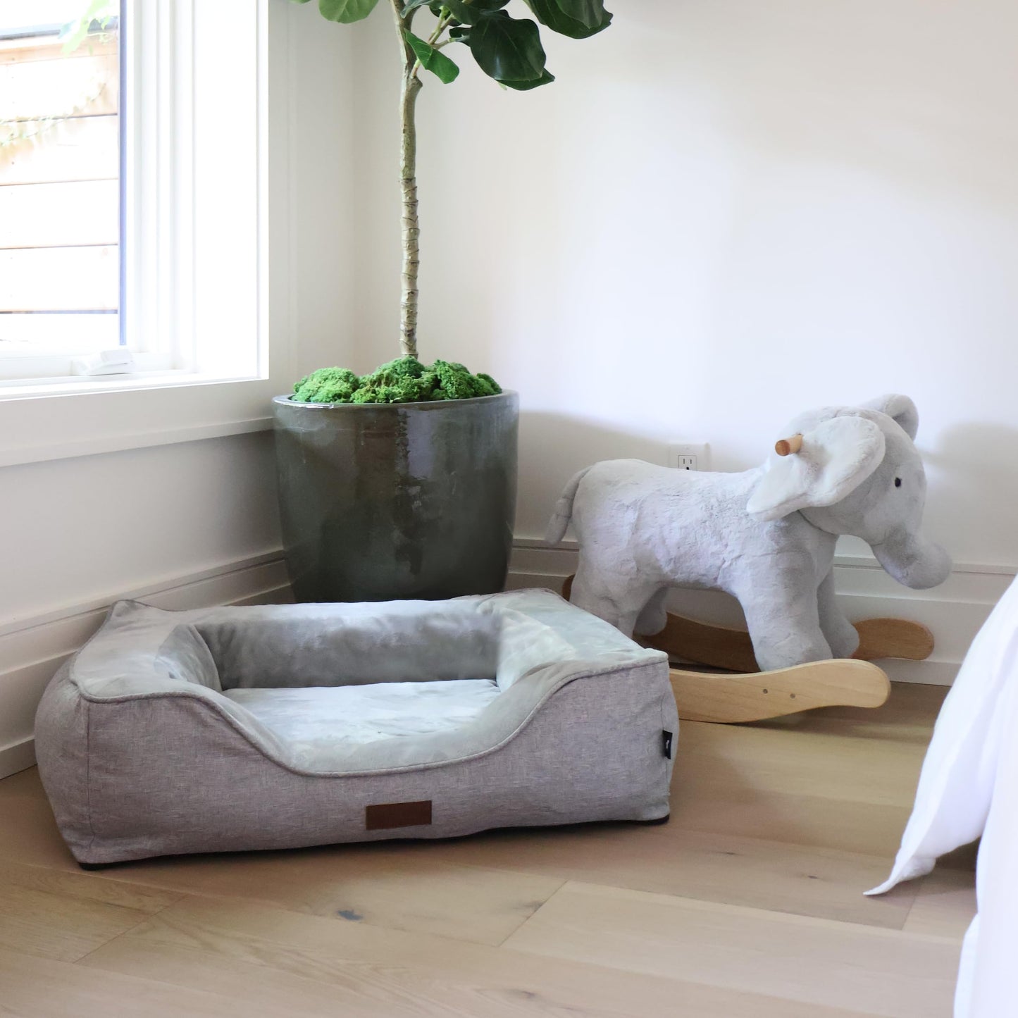 JACKO & CO - Premium Orthopedic Dog Bed with Egg Crate Memory Foam – Waterproof Lining & Removable Machine Washable Cover – Soft Velvet Fabric & High-Density Foam with Non-Slip Base (Grey, Small)