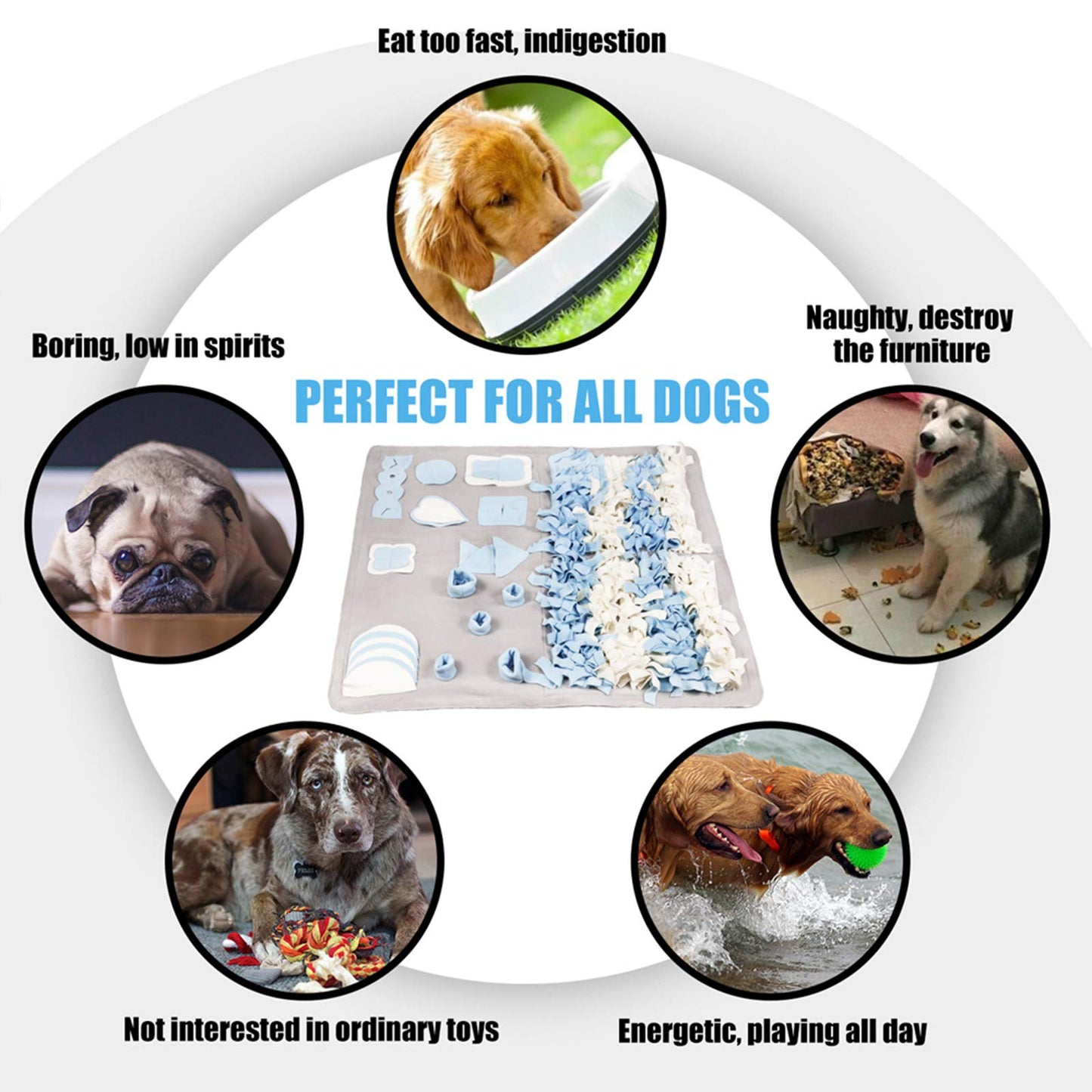 Stellaire Chern Snuffle Mat for Small Large Dogs (39.4" x 39.4") - Nosework Feeding, Easy to Fill, Machine Washable Training, Pet Activity/Toy/Play, Great for Stress Release - L