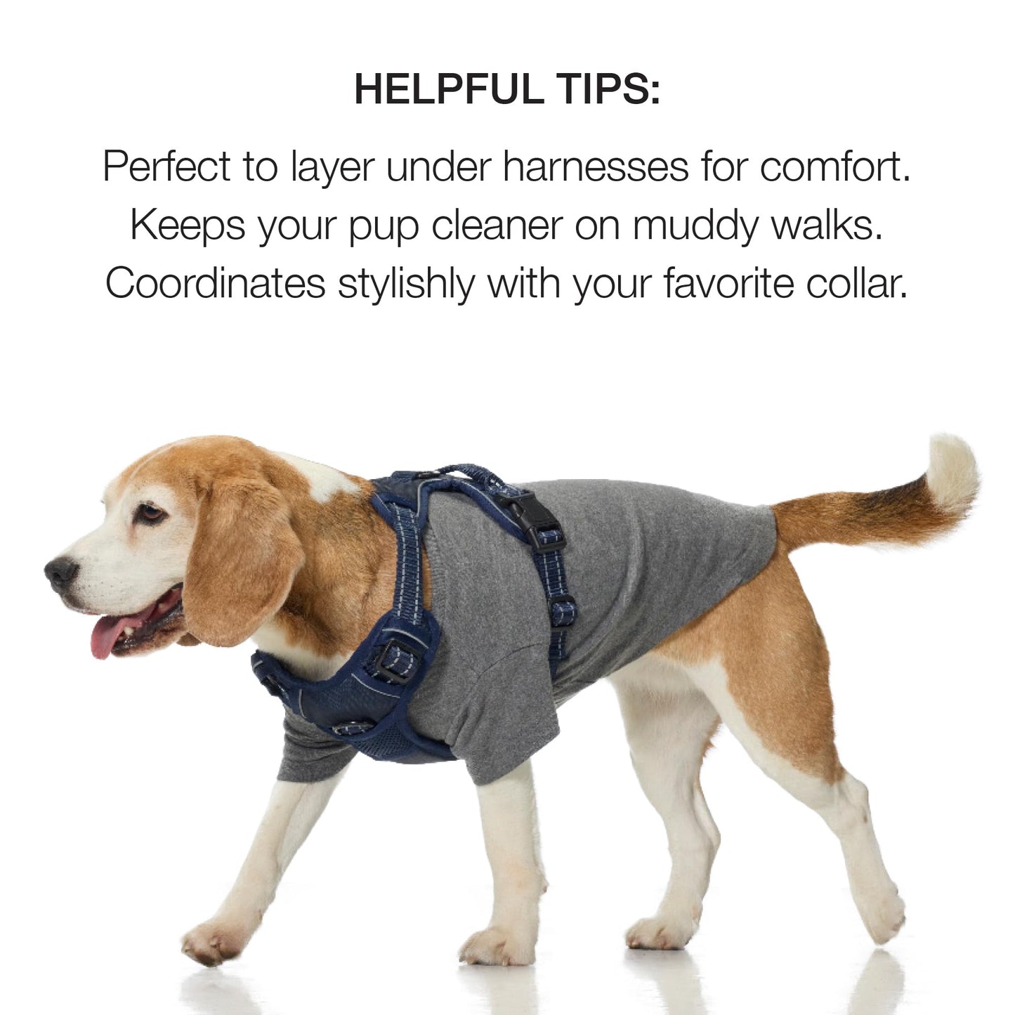Pet Passion 8-Pack Short Sleeve Pet T-Shirt 100% Organic Cotton Tees Clothes for Small, Medium, Large Dogs | Toby II, Rainbow Blue, Small