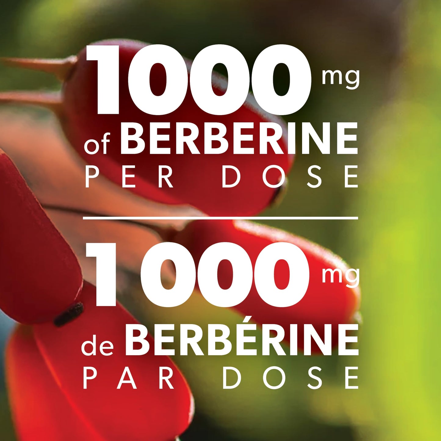 Preferred Nutrition® Berberine MAXIMUM POTENCY 1000 mg per Serving (2 caps, 500 mg each) VALUE SIZE 240 Vegetarian Capsules, Canadian Company