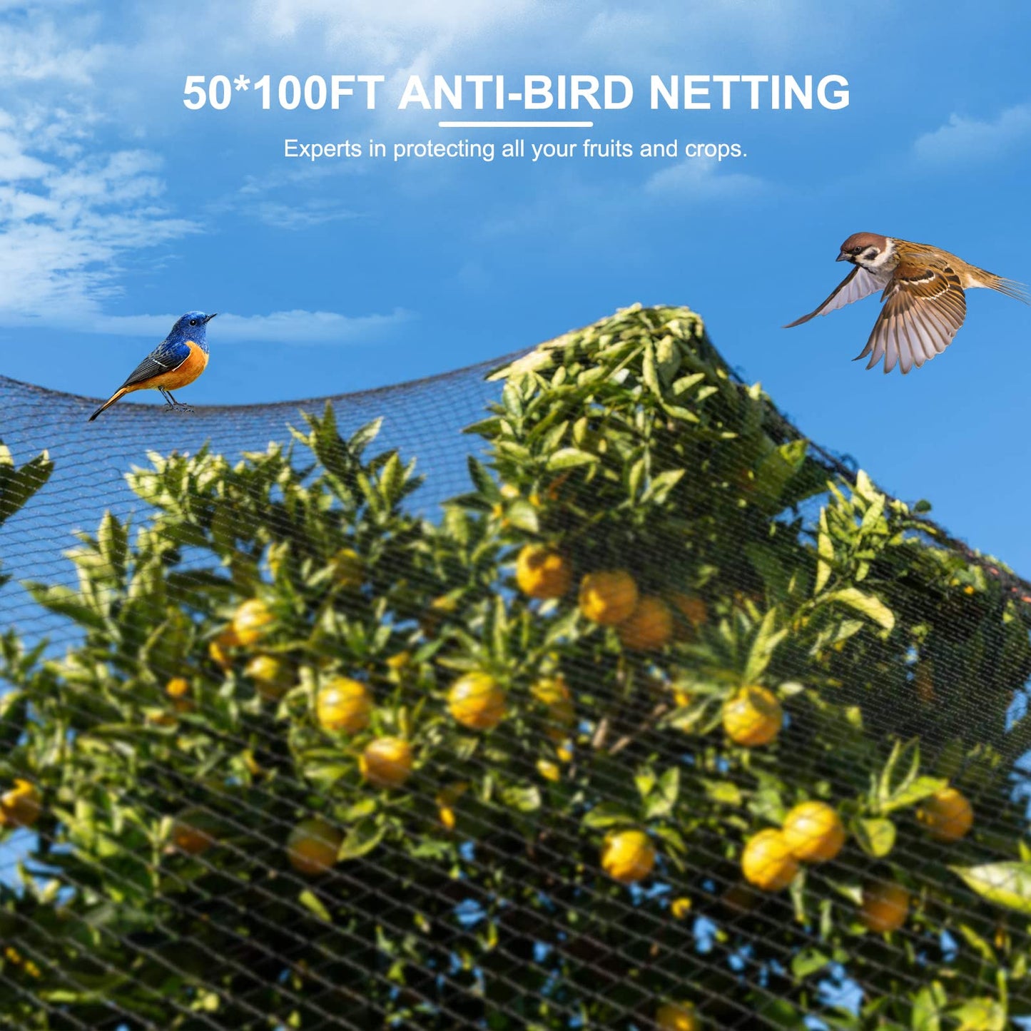 EVTSCAN Nylon 50 x 100FT Anti-Bird Netting Protecting Plant Vegetable Fruit Tree Sparrow Catching Mesh for Garden Orchard